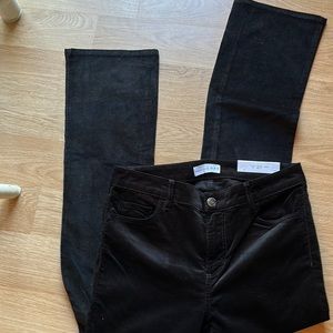 Loft corduroy pants, black, NEW size 27